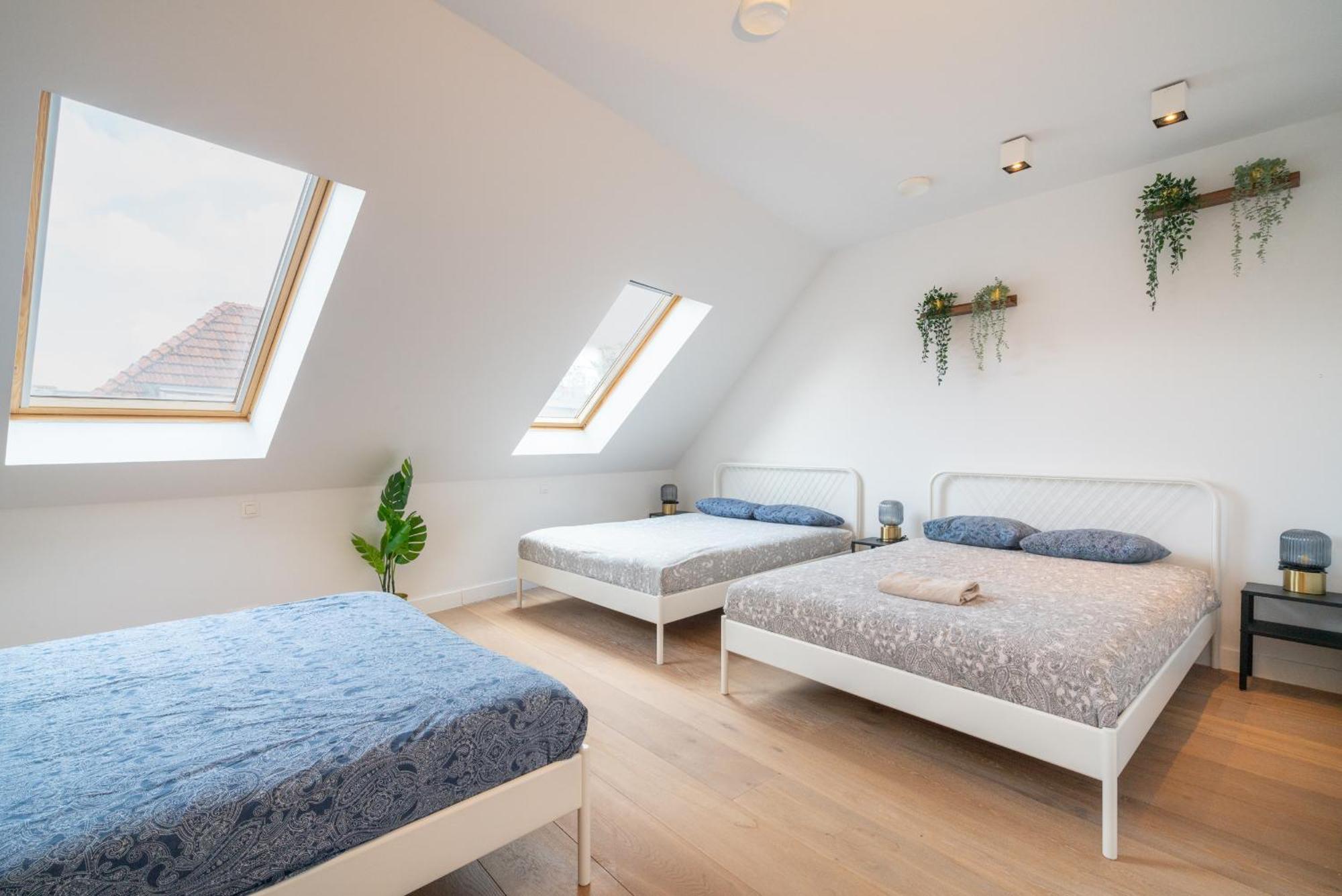Light House Lodge. Apartment In Center Of Antwerp Antuérpia Exterior foto