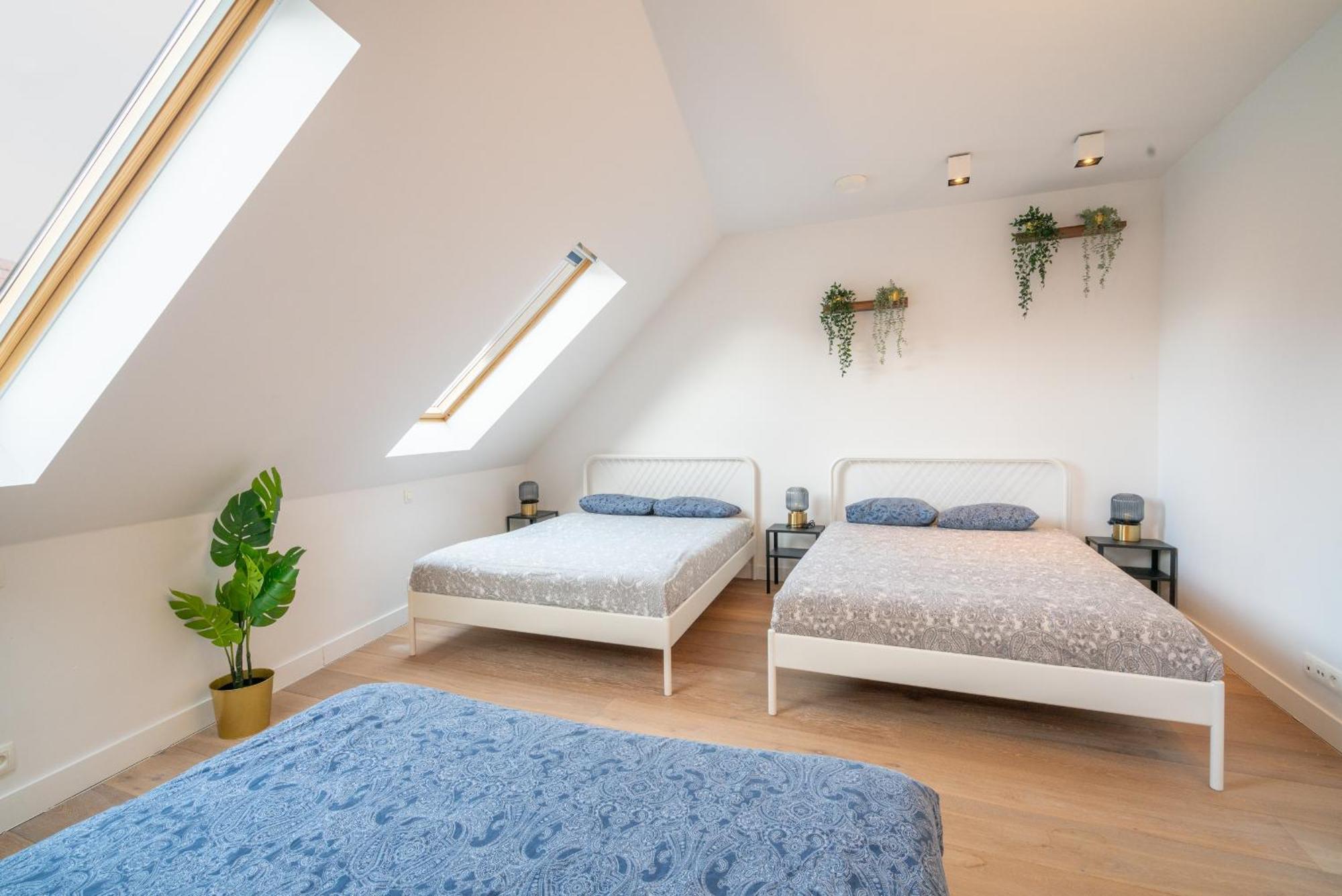 Light House Lodge. Apartment In Center Of Antwerp Antuérpia Exterior foto